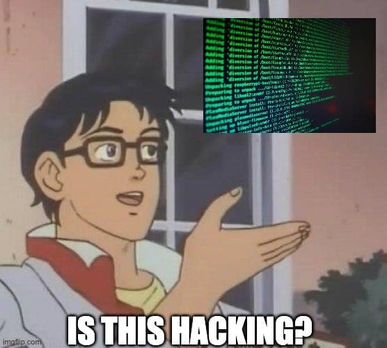 Butterfly meme where the butterfly is a terminal window and the person says "Is this hacking?"